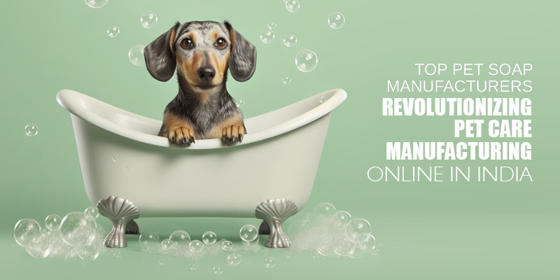 In the rapidly growing pet care industry, innovation and convenience have become key factors in the success of any brand. With pet owners becoming more conscious about the products they use on their furry friends, private-label pet soap manufacturers are